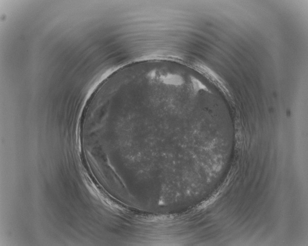 X0000078280892200611251415