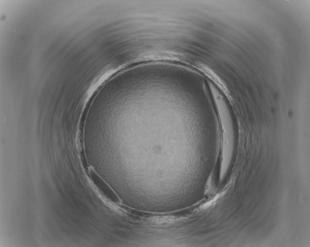 X0000078280893200611251415