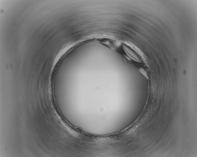 X0000078280894200611251415