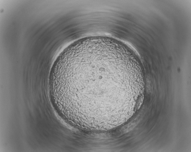 X0000078280895200611251415