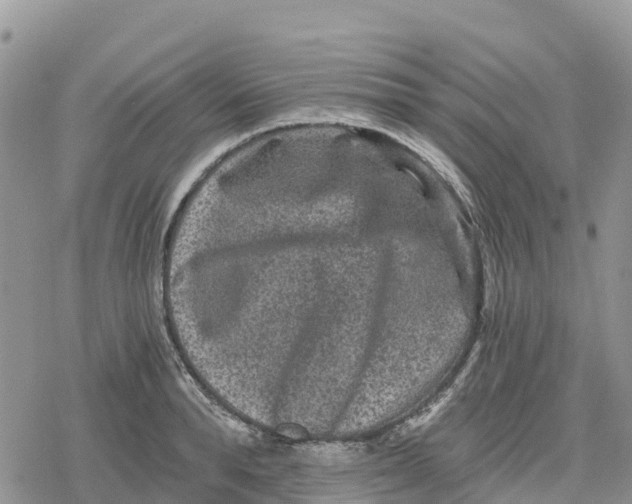 X0000078280896200611251415