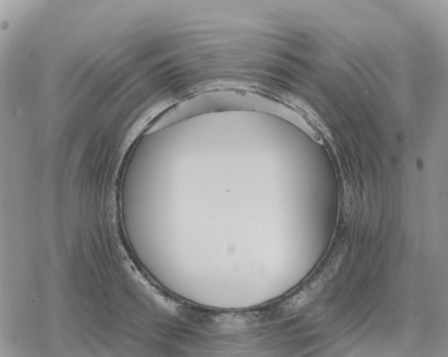 X0000078280898200611251415