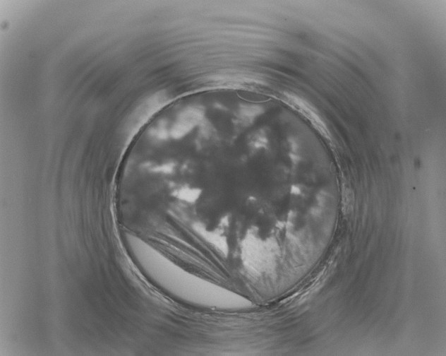 X0000078280899200611251415