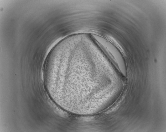 X0000078280900200611251415