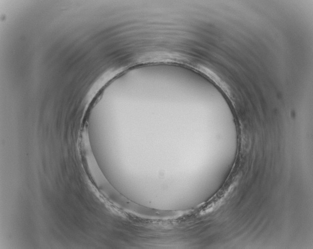 X0000078280901200611251415