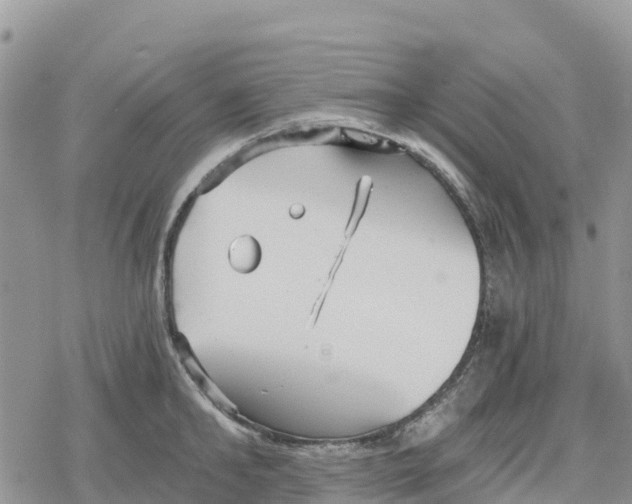 X0000078280902200611251415