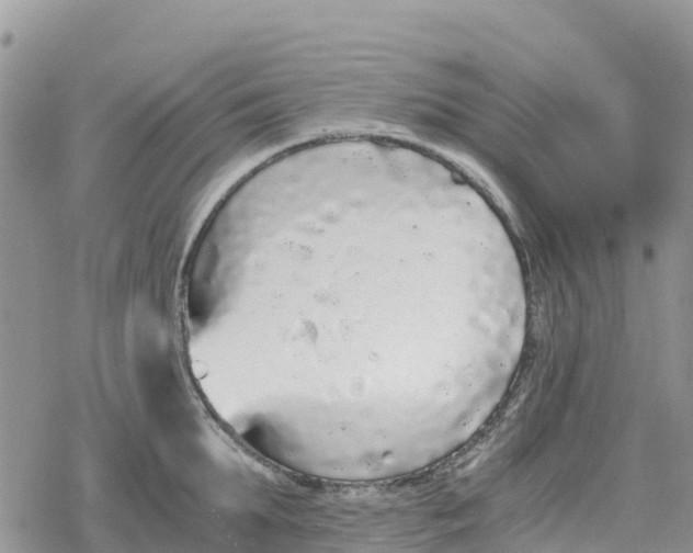 X0000078280903200611251415