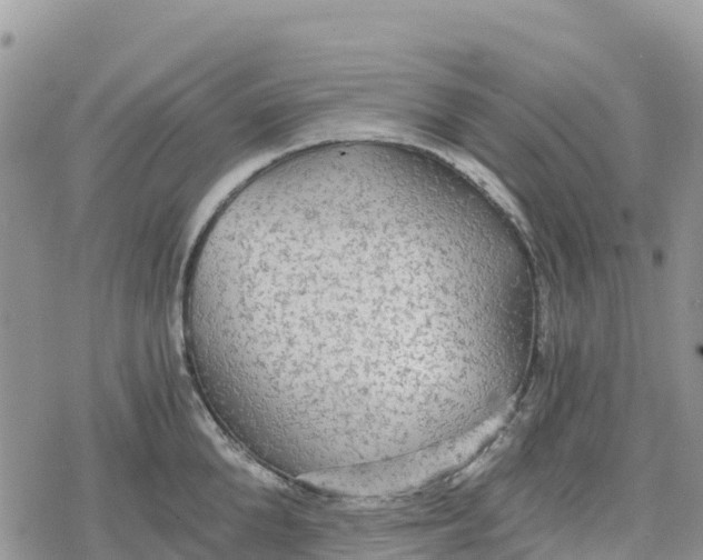 X0000078280904200611251415