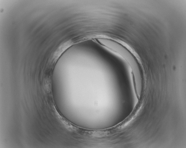 X0000078280905200611251415