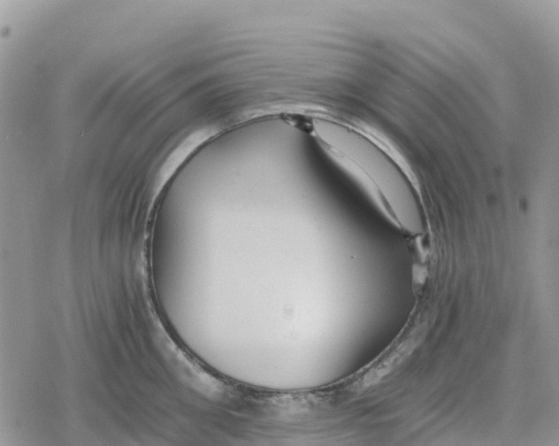 X0000078280906200611251415