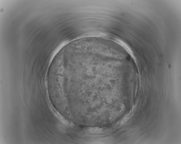 X0000078280907200611251415