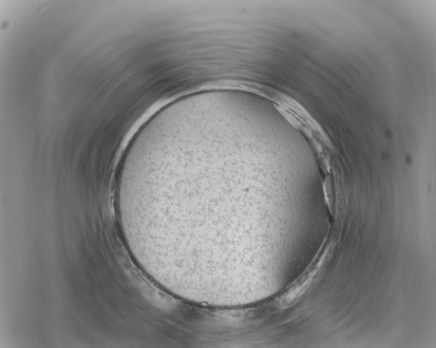 X0000078280908200611251415