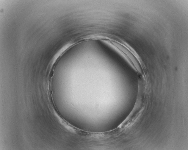 X0000078280909200611251415