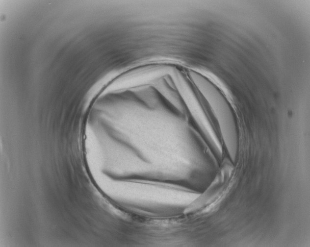 X0000078280910200611251415