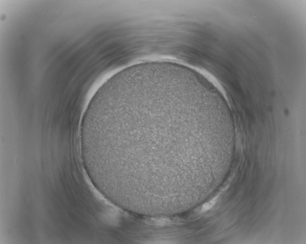 X0000078280911200611251415