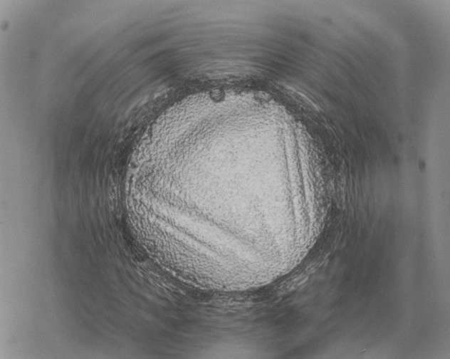 X0000078280917200611251414