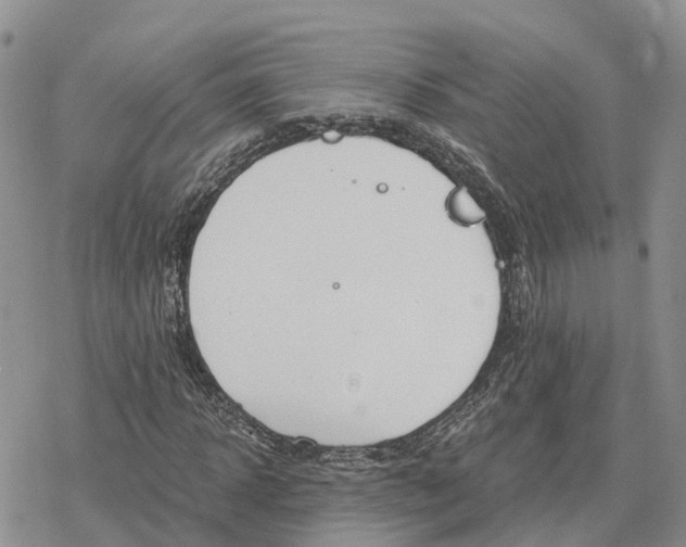 X0000078280918200611251414