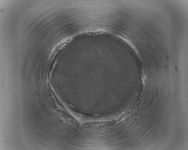 X0000078280920200611251414