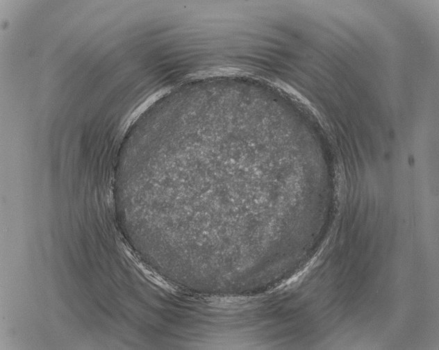 X0000078280921200611251414