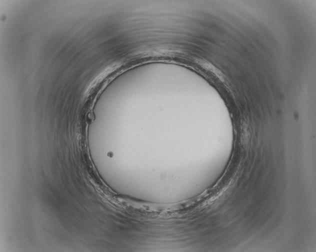 X0000078280922200611251414