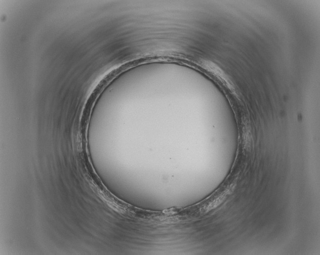 X0000078280924200611251414