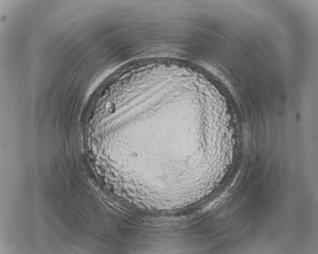 X0000078280925200611251414