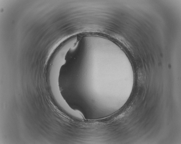 X0000078280926200611251414