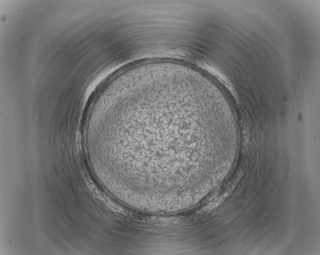 X0000078280928200611251414