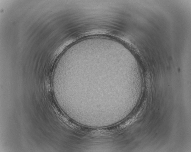 X0000078280929200611251414