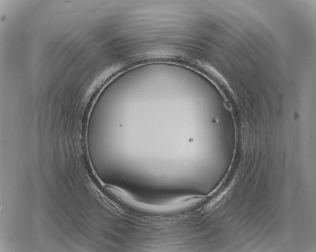 X0000078280930200611251414