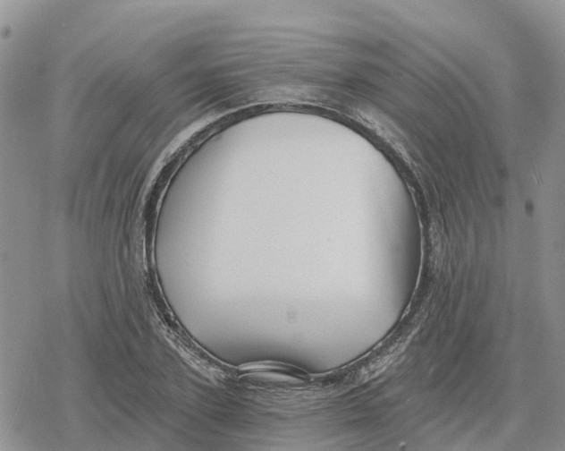 X0000078280931200611251414