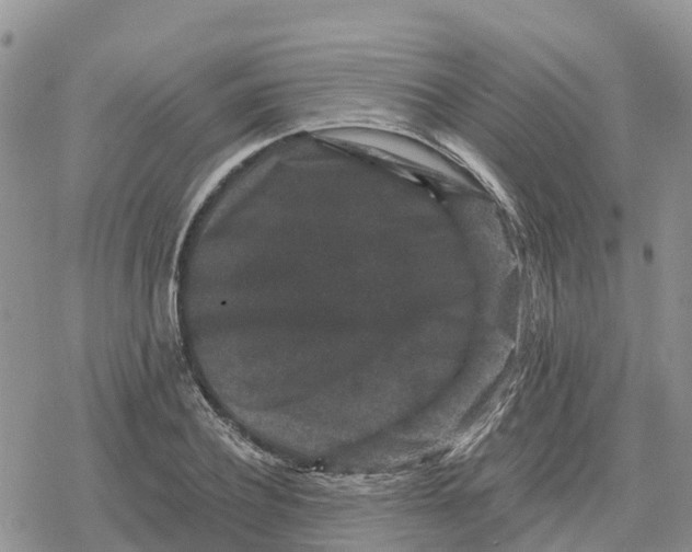 X0000078280932200611251414