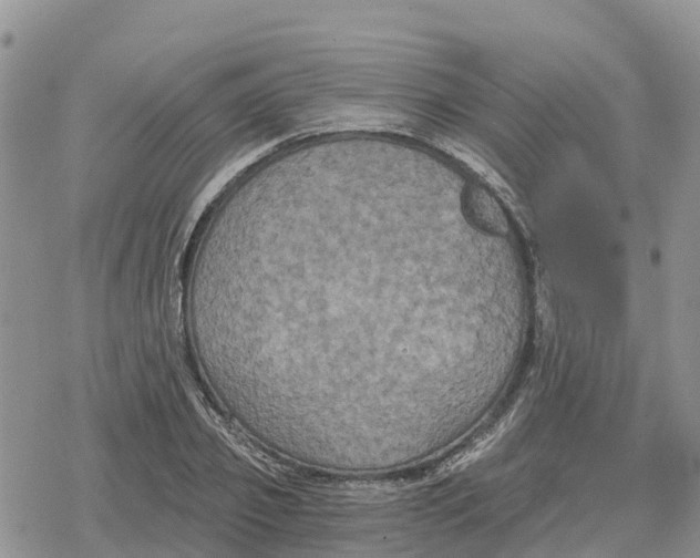 X0000078280933200611251414