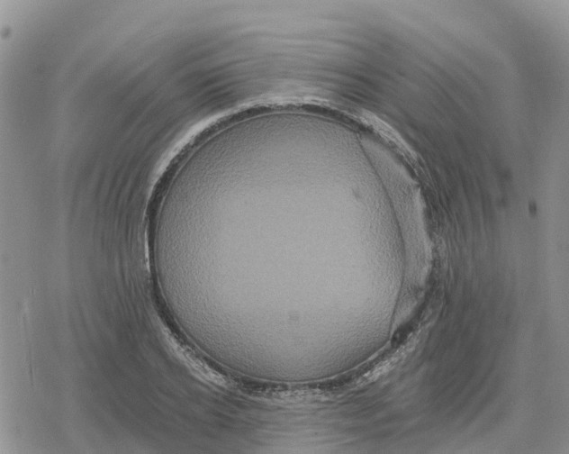 X0000078280934200611251414