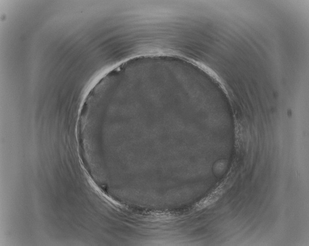 X0000078280935200611251414