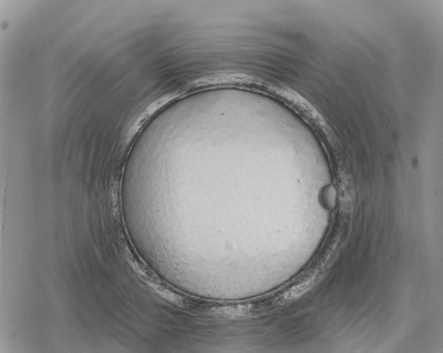 X0000078280937200611251415