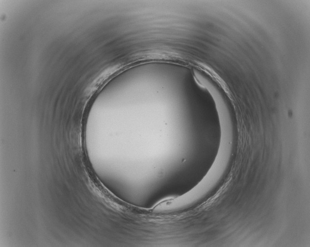 X0000078280938200611251415