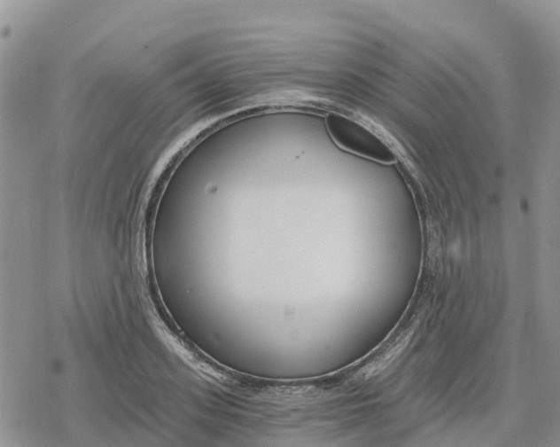 X0000078280939200611251415