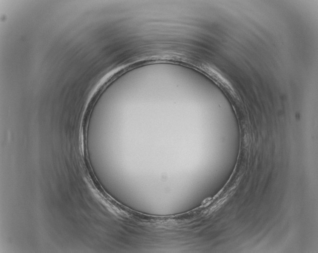 X0000078280940200611251415