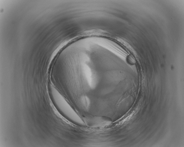 X0000078280941200611251415