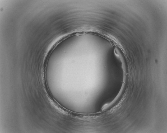 X0000078280942200611251415