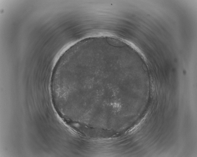 X0000078280943200611251415