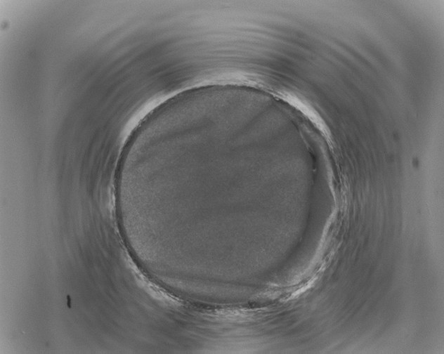 X0000078280944200611251415