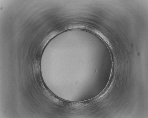 X0000078280945200611251415