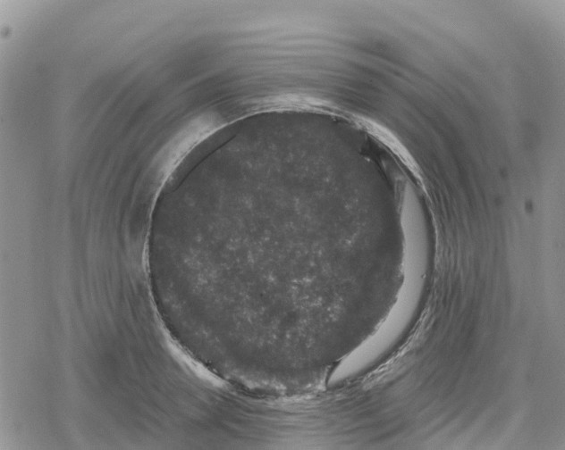 X0000078280946200611251415