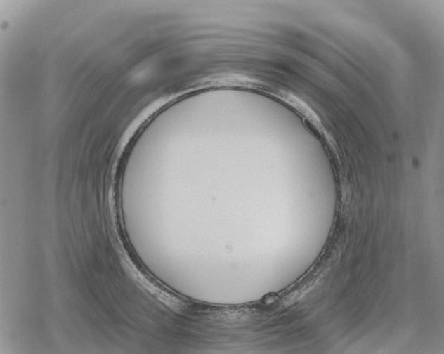 X0000078280947200611251415