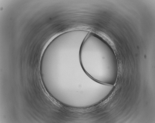 X0000078280948200611251415