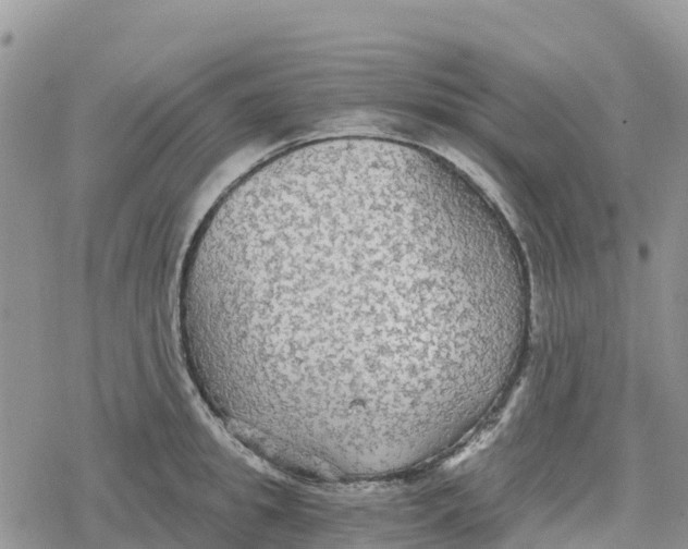 X0000078280949200611251415