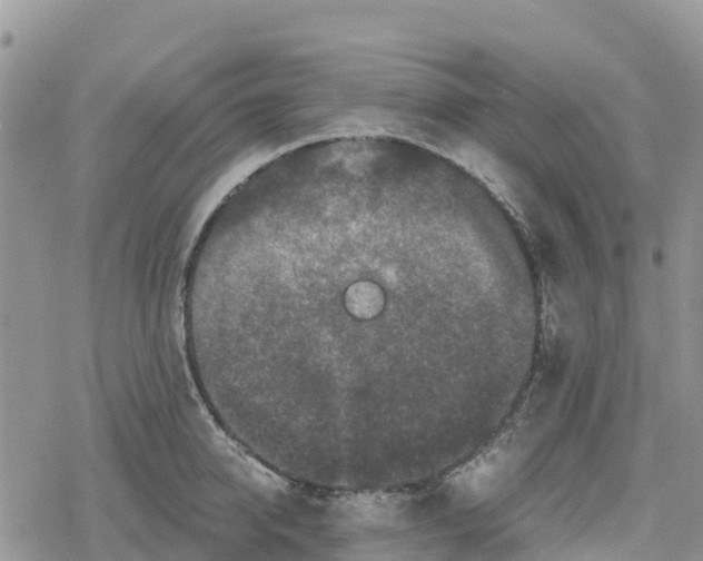 X0000078280950200611251415