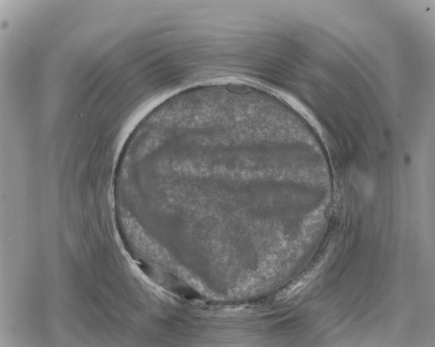 X0000078280951200611251415